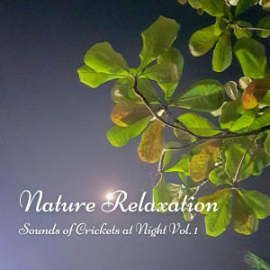 Nature Relaxation: Sounds of Crickets at Night Vol. 1