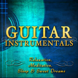 ดาวน์โหลดและฟังเพลง Canon in D พร้อมเนื้อเพลงจาก World Classical Relaxation Ensemble