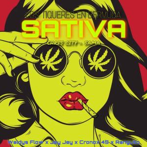 Jey Jey的專輯Sativa (feat. Waldys Flow, Cronox 45 & Ranguito)