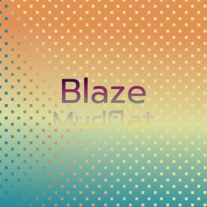 Various的专辑Blaze Mudflat