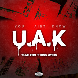 Listen to U.A.K. (You Ain’t Know) (Explicit) song with lyrics from Yung Ron