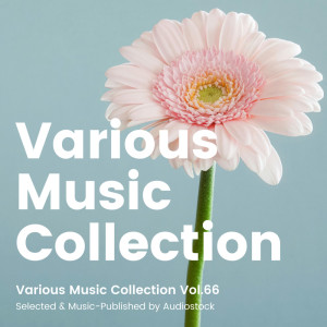 อัลบัม Various Music Collection Vol.66 -Selected & Music-Published by Audiostock- ศิลปิน Japan Various Artists