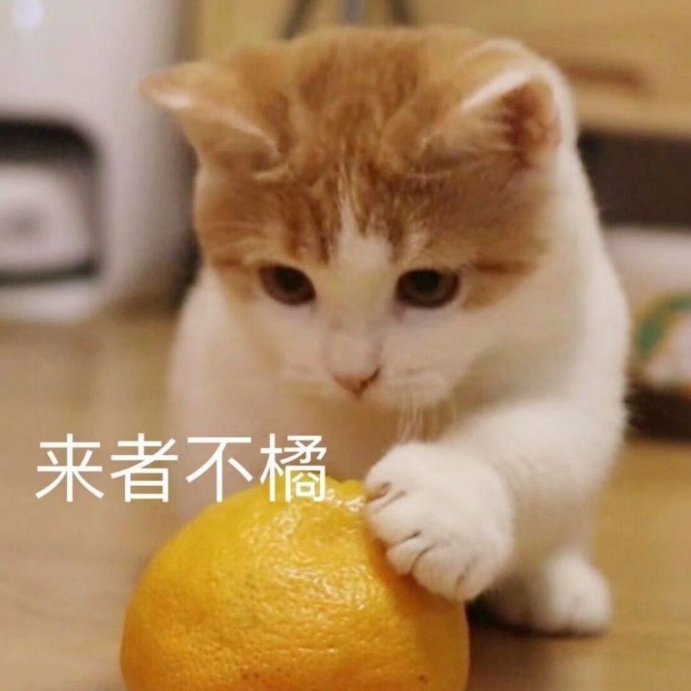 凉城MYeol