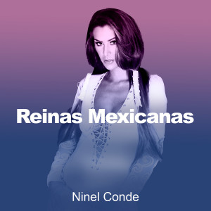 ดาวน์โหลดและฟังเพลง Hoy Tengo Ganas De Ti พร้อมเนื้อเพลงจาก Ninel Conde