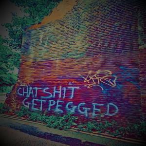 Album Chat Shit, Get Pegged (Explicit) from Counterintuitive