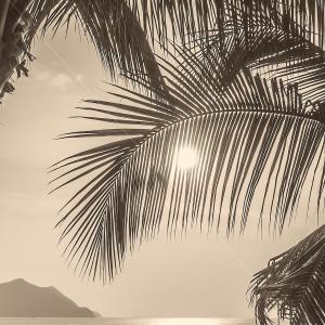 Listen to But Beautiful song with lyrics from Stan Getz