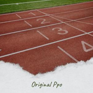 收聽Tord Valea的Original Ppo歌詞歌曲