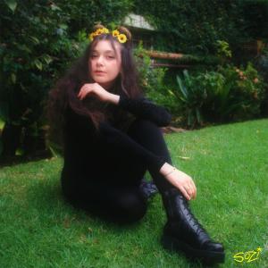 收聽Sozi的The Brink歌詞歌曲