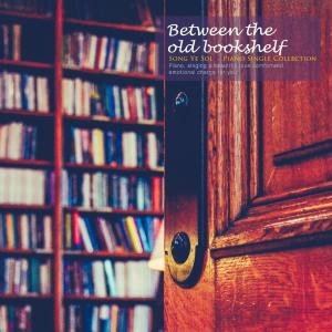 Between old bookshelves
