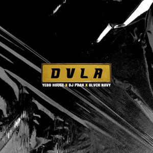 Album DVLA from Yebo House