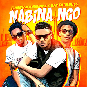 Album Nabina Ngo from SHVNGZ