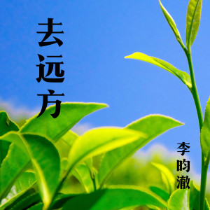 Album 去远方 from 李昀澈
