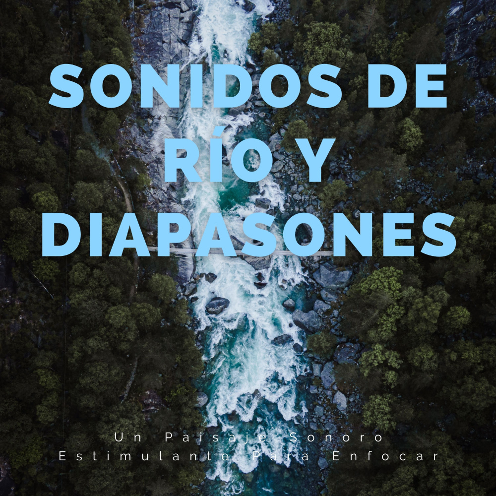 Sonidos Relajantes Para El Éxito