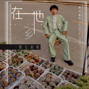 收聽七叔（葉澤浩）的在他鄉 (DJ沈念)歌詞歌曲
