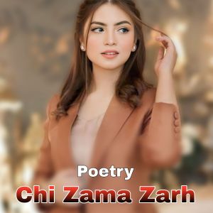 Listen to Da Judai Warzi song with lyrics from Poetry