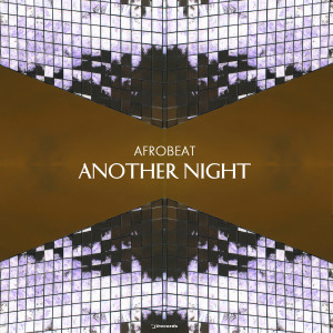 Listen to Another Night (其他|Animal Picnic Remix) song with lyrics from Afrobeat