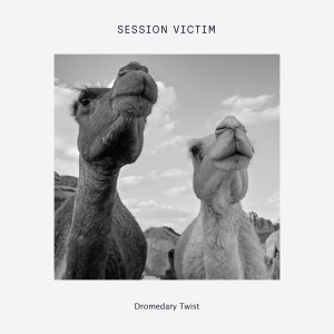Album Dromedary Twist from Session Victim