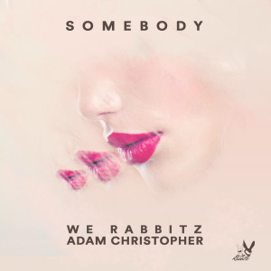 Listen to Somebody song with lyrics from We Rabbitz