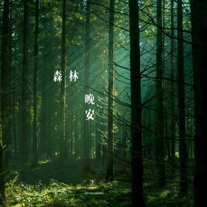 Dengarkan lagu 云杉 nyanyian 黄旭 dengan lirik