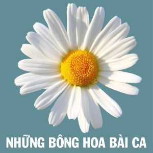 ดาวน์โหลดและฟังเพลง Bác Hồ người cho em tất cả พร้อมเนื้อเพลงจาก Vân Ngọc