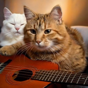 Cats Music Zone的專輯Melodic Whiskers: Guitar Music for Cats