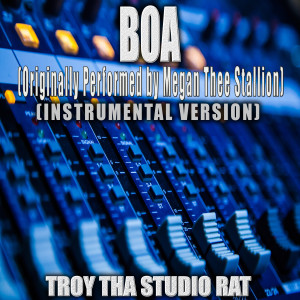 Troy Tha Studio Rat的專輯BOA (Originally Performed by Megan Thee Stallion) (Instrumental Version)