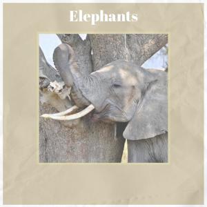 Listen to Communicative Langue song with lyrics from Hugs Stirnemann