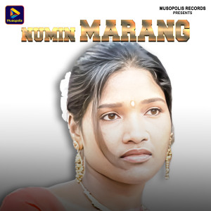 Listen to Numin Marang song with lyrics from Geeta Baskey
