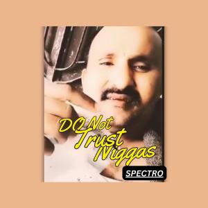 收聽Spectro的Do not trust niggas (Explicit)歌詞歌曲