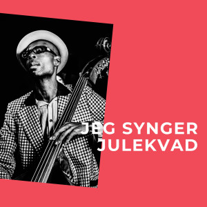 Axel Stordahl的专辑Jeg Synger Julekvad