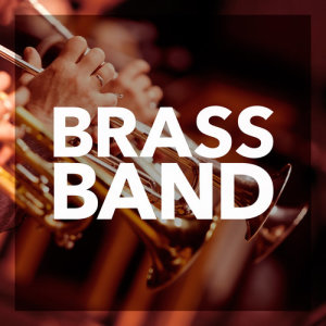 Listen to Cabaret (Instrumental) song with lyrics from Carlos Gonzales & The Mexican Brass
