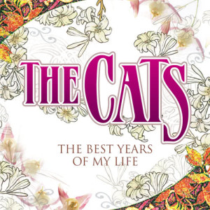 收聽The Cats的The Best Years Of My Life (Instrumental)歌詞歌曲