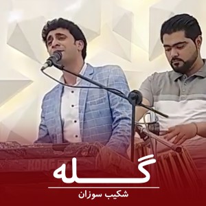 Album گله from Shekib Sozan
