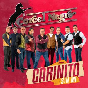 ดาวน์โหลดและฟังเพลง Tu Juguete Preferido พร้อมเนื้อเพลงจาก Corcel Negro