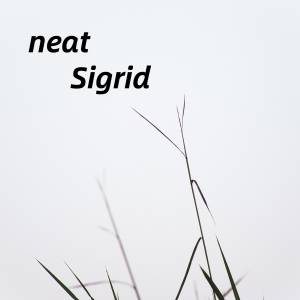 收听Sigrid的neat歌词歌曲