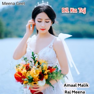 Amaal Mallik的專輯Dil Ka Taj