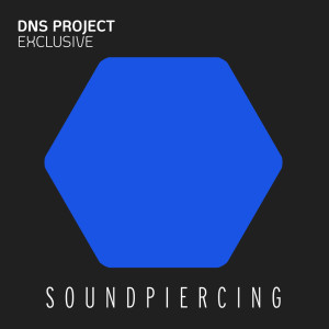 ดาวน์โหลดและฟังเพลง Exclusive (Big Room Edit) พร้อมเนื้อเพลงจาก DNS Project