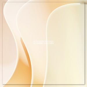 收聽Afternoon In Stereo的Schwebeteilchen歌詞歌曲