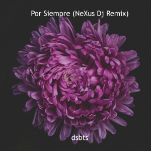 Listen to Por Siempre (Nexus Dj Remix) song with lyrics from dsbts