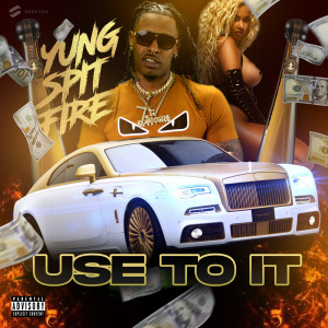 Album Use to It (Explicit) from Yung Spitfire
