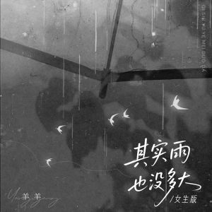 羊羊的专辑其实雨也没多大 (女生版)