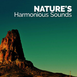 ดาวน์โหลดและฟังเพลง Birds by the Pond พร้อมเนื้อเพลงจาก Natural Sounds