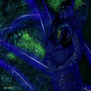 Listen to Data Forest song with lyrics from Jason Hou