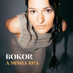 ดาวน์โหลดและฟังเพลง Mandarim พร้อมเนื้อเพลงจาก Bokor