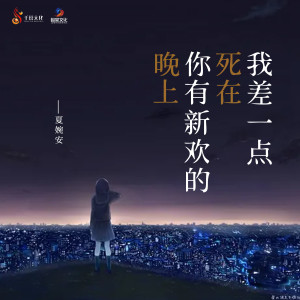 收听夏婉安的我差一点死在你有新欢的晚上歌词歌曲