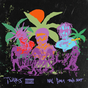 ดาวน์โหลดและฟังเพลง Turks (Explicit) พร้อมเนื้อเพลงจาก Nav