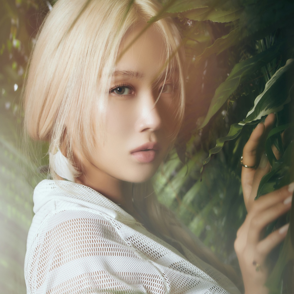 SoYou