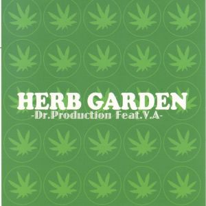 Listen to Irie Smokin' (Explicit) song with lyrics from Various