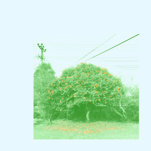 ดาวน์โหลดและฟังเพลง The Plight พร้อมเนื้อเพลงจาก DROOR