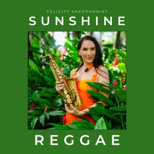 收聽Felicity Saxophonist的Sunshine Reggae歌詞歌曲